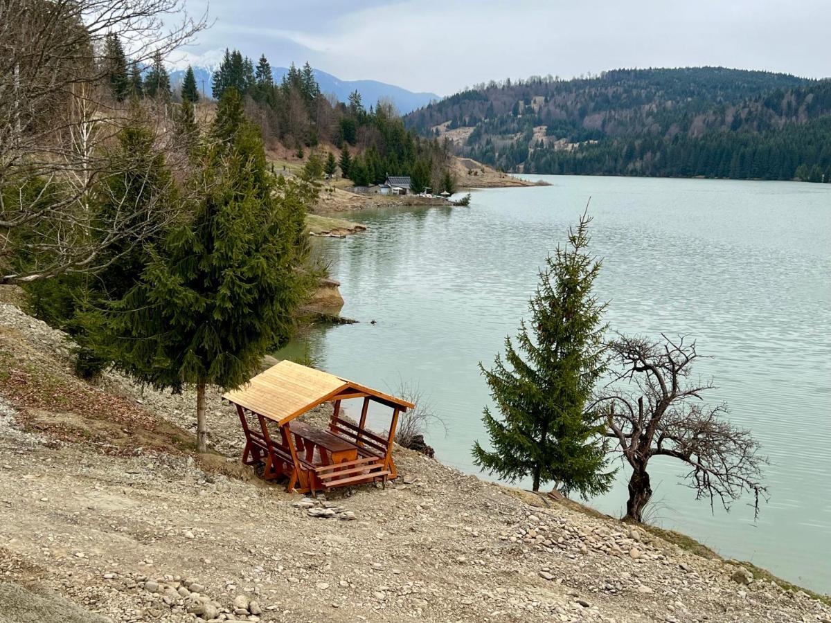 Casa Eden - Apartamente Langa Lac Colibiţa エクステリア 写真