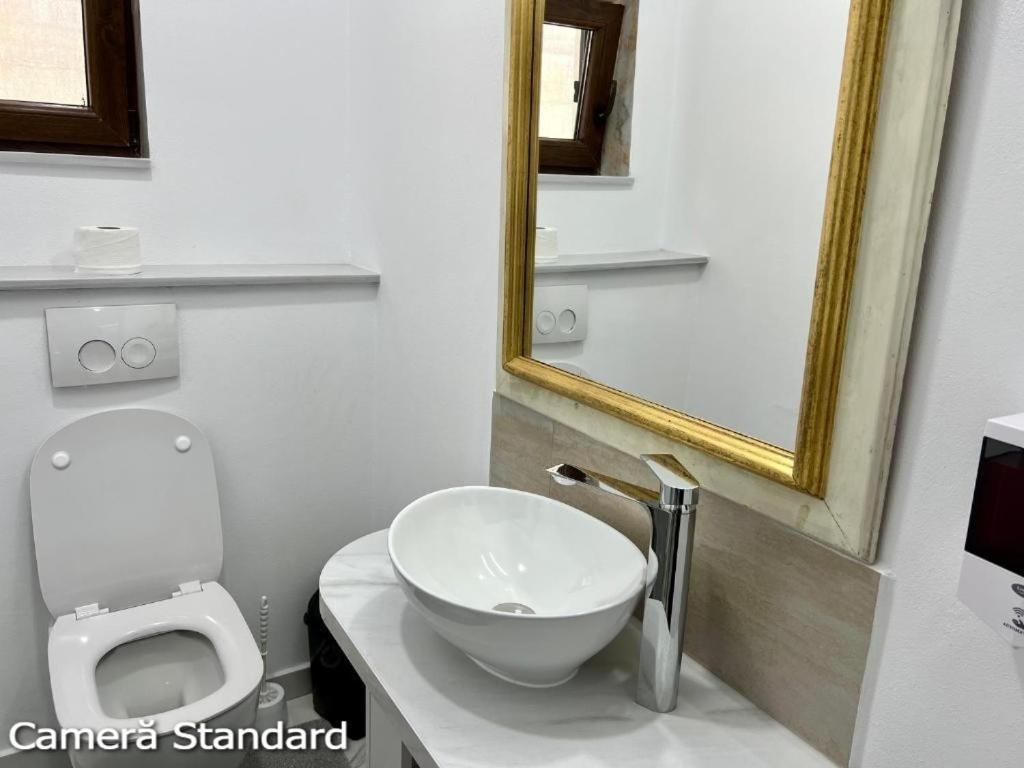 Casa Eden - Apartamente Langa Lac Colibiţa エクステリア 写真