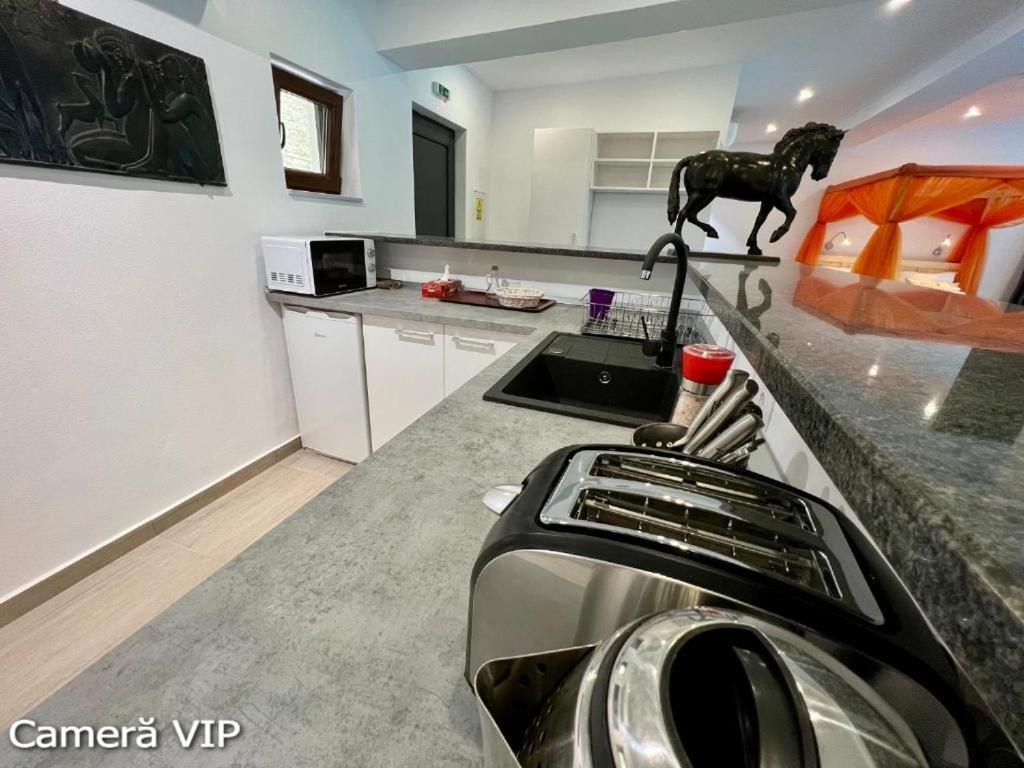 Casa Eden - Apartamente Langa Lac Colibiţa エクステリア 写真